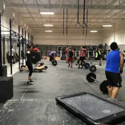 Invictus CF 1014 Arena Fitness