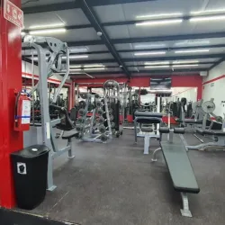 Live Fitness