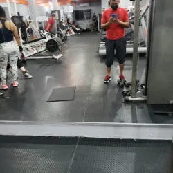 Under Gym