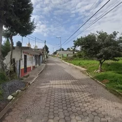 Merceria "Flores"