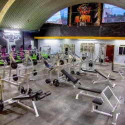 Olimpo Gym Tlapa