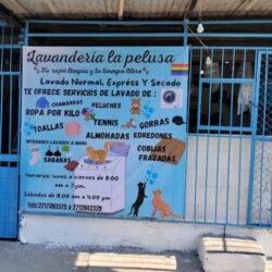 Lavandería La Pelusa