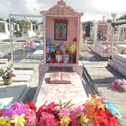 Jardín de los Pinos