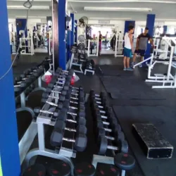 Stone Gym