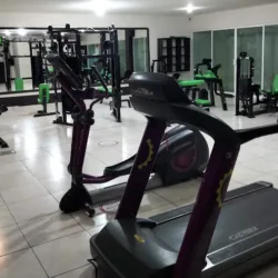 Bebe Gym
