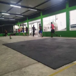 CF Collective