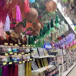 Fantasías Miguel