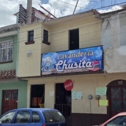 Lavanderia chusita