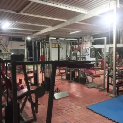 Gym Sport Silver
