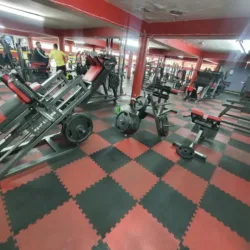 MEGA GYM
