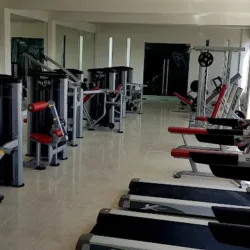 Sport Platinum Lean Fit