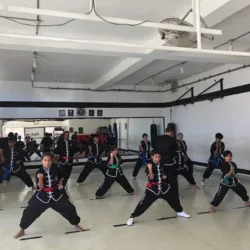 Dragón Negro Wushu Kung Fu Los Cabos