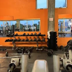 Live Gym