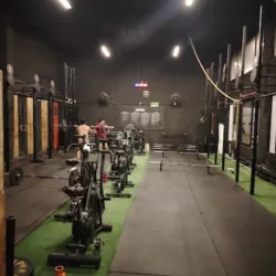 Monkey fitness