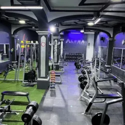 Alpha Fitness