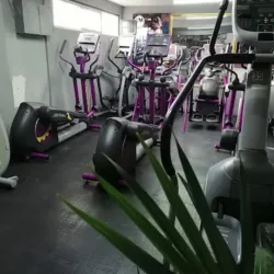 Animal Power GYM