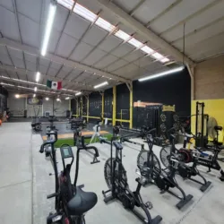 BAGHEERA CROSSTRAINING