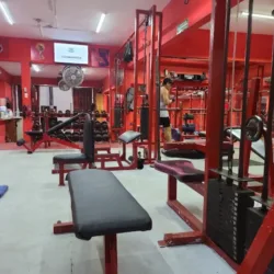 Shark Gym Mixto