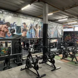 TEMPLARIO’S GYM