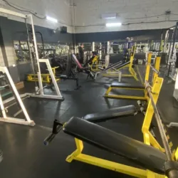 Ztandox GYM