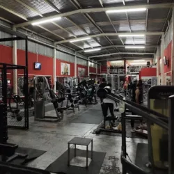 Top Gym