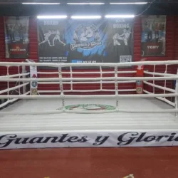 CLUB DEPORTIVO GUANTES Y GLORIA, BOX Y KICK BOXING K1