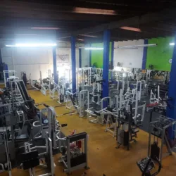 Universal Gym