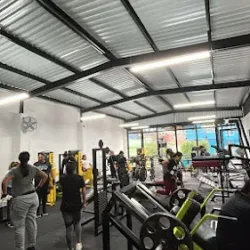 Forte Gym