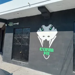 Cobra fit