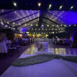 Carpas Elegantes Joss
