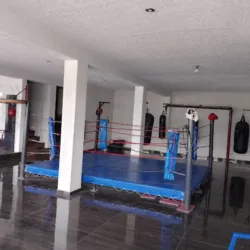 Legión Kraken Escuela de Boxeo y Artes Marciales/Daniri Jiu jitsu