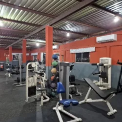 GYM 2020s