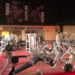 Iron Fit