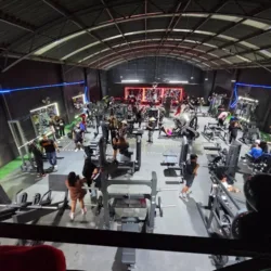 PULSE GYM