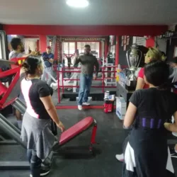 OLYMPUS GYM