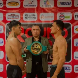 Establo de box martinez