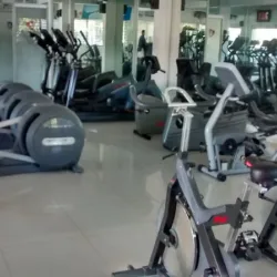 LM Fitness