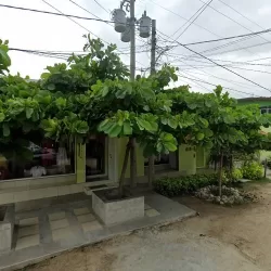 GUAYABERAS Y BORDADOS YUCATECOS KAANSAH