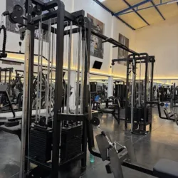 Zeus Gym