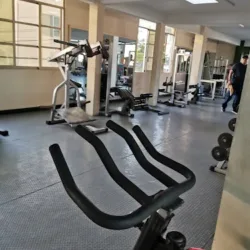 Evolution Bucki Fitness