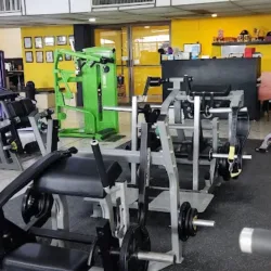 Vikingo gym