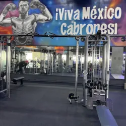 Evolve Fitness Gym Mazatlán
