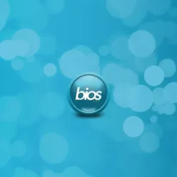 Bios Estudio Creativo
