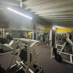 Body Fitness