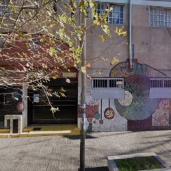 Colegio Federal
