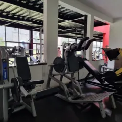 GYM constituyentes