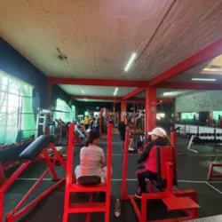 Narcissus Gym