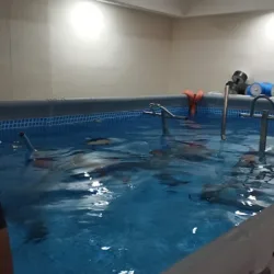 Gimnasio acuático beet há