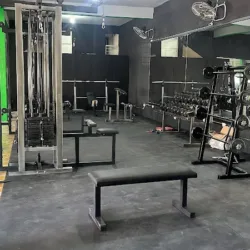 Gym Alpha Fitness