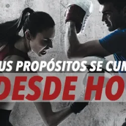 K.O. Fighters Texcoco